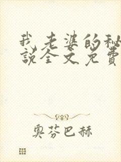 我老婆的秘密小说全文免费阅读