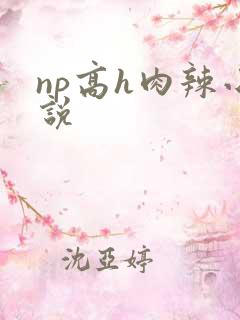np高h肉辣小说