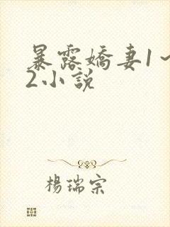暴露娇妻1~12小说