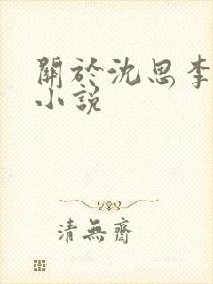 关于沈思李兵的小说