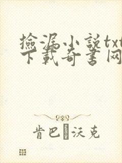捡漏小说txt下载奇书网