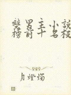 双男主小说排行榜前十名校园文