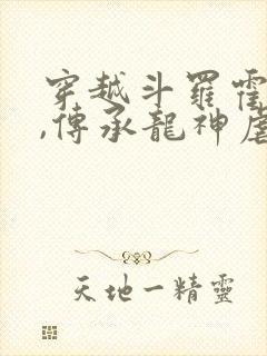 穿越斗罗霍雨浩,传承龙神虐唐三的小说