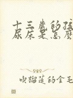 十三岁的孩子还尿床是怎么回事