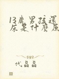 13岁男孩还尿床是什么原因