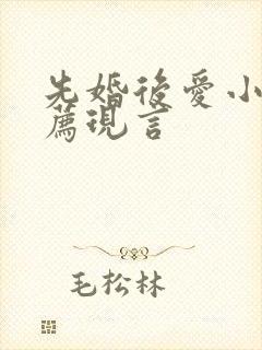 先婚后爱小说推荐现言