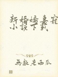 新婚娇妻宠上瘾小说下载