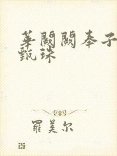 华阙阙奉子成婚甄珠