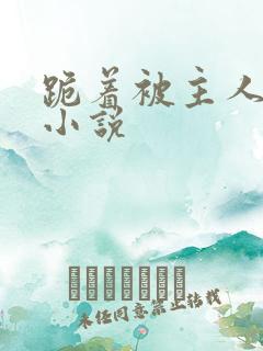 跪着被主人调教小说