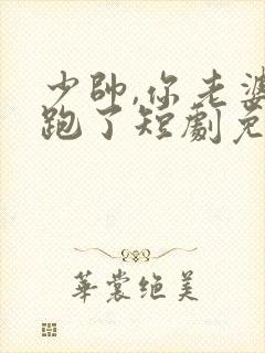 少帅,你老婆又跑了短剧免费大结局