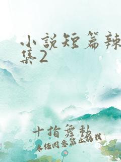 小说短篇辣文合集2