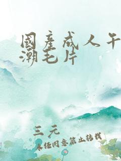 国产成人午夜高潮毛片