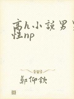 高h小说男男双性np