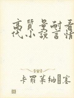 高质量耐看的现代小说言情