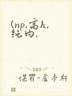 (np,高h,纯肉,