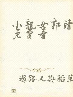 小龙女郭靖番外免费看