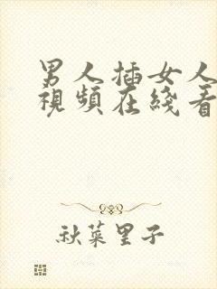 男人插女人下面视频在线看