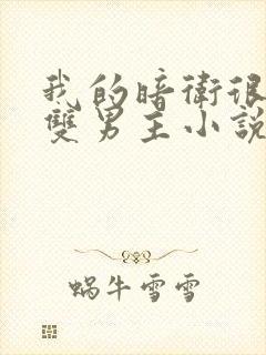 我的暗卫很能生双男主小说