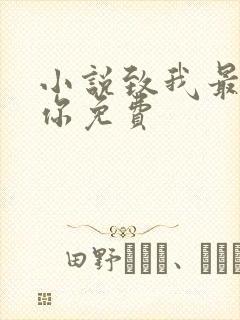 小说致我最爱的你免费