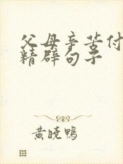 父母辛苦付出的精辟句子