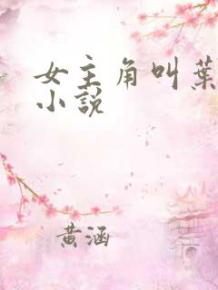 女主角叫叶初的小说