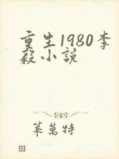 重生1980李毅小说