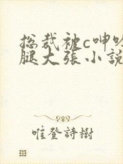 总裁被c呻吟双腿大张小说