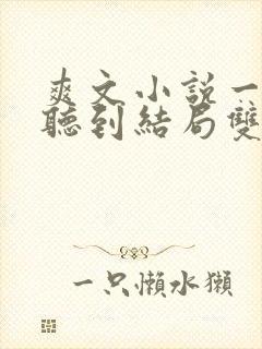 爽文小说一口气听到结局双男主