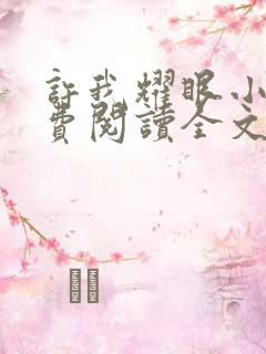 许我耀眼小说免费阅读全文最新章节