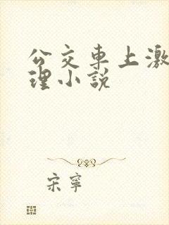 公交车上激情伦理小说