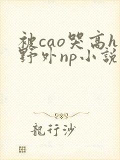 被cao哭高h野外np小说男男