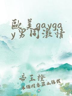 欧美gaygay男同激情
