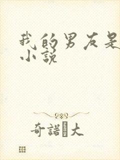 我的男友是西索小说