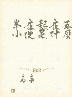 半夜起夜五六次小便是什么原因