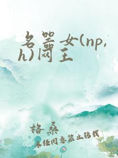 名器女(np,h)网王
