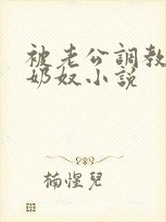 被老公调教成性奶奴小说