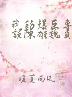 我的爆巨专用小说陈雄魏贞