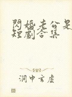 闪婚老公是豪门短剧合集