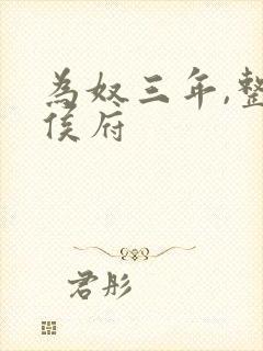 为奴三年,整个侯府