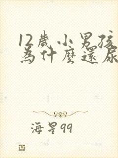 12岁小男孩儿为什么还尿床