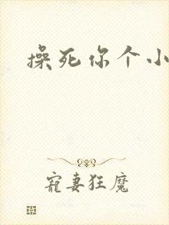 操死你个小骚货