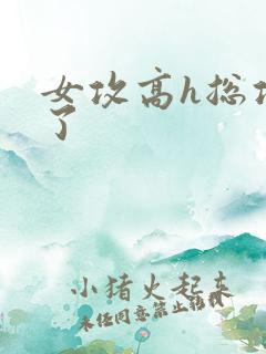 女攻高h总攻c了