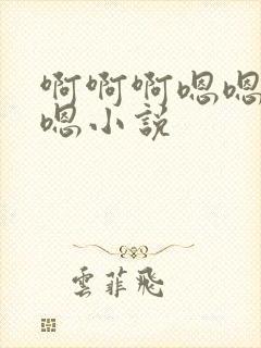 啊啊啊嗯嗯嗯嗯嗯小说