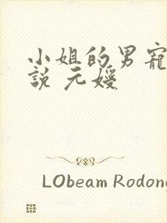 小姐的男宠 小说 元嫒