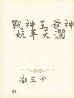 战神王爷神医妃 妖平天澜