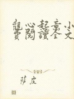 观心起意小说免费阅读全文最新章节