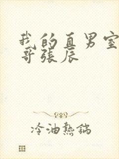 我的直男室友帅哥张辰