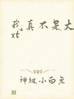 我真不是大佬txt