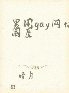 男同gay网站国产