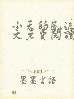 小天的风流史全文免费阅读最新章节